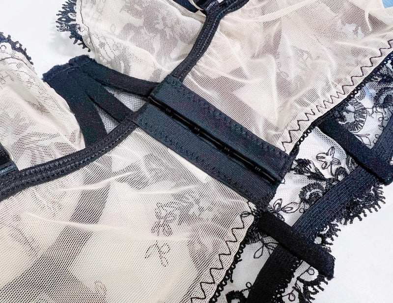 Jazlyn Sheer Embroidered Floral 2-Pc Lingerie Set
