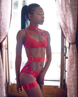 Aisha Sheer Mesh 4-Piece Lingerie Set