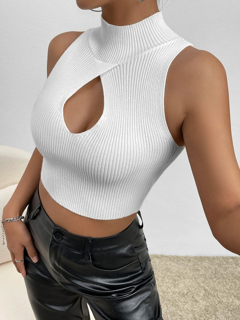 Lila Cut Out Turtleneck Knit Cropped Top